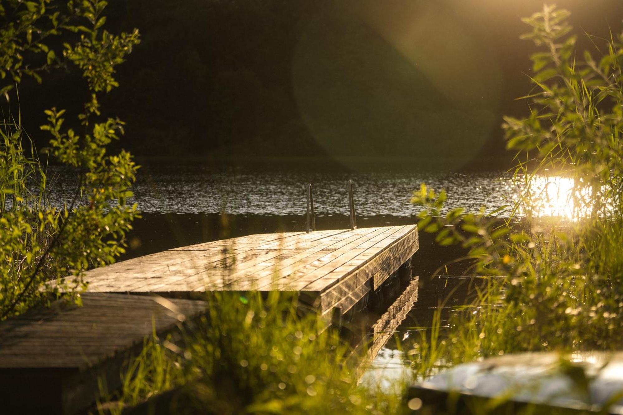 Domek Dla Pary Kaszuby Linia Brzegowa Jezioro Prywatny Las Roztoka  Exteriör bild